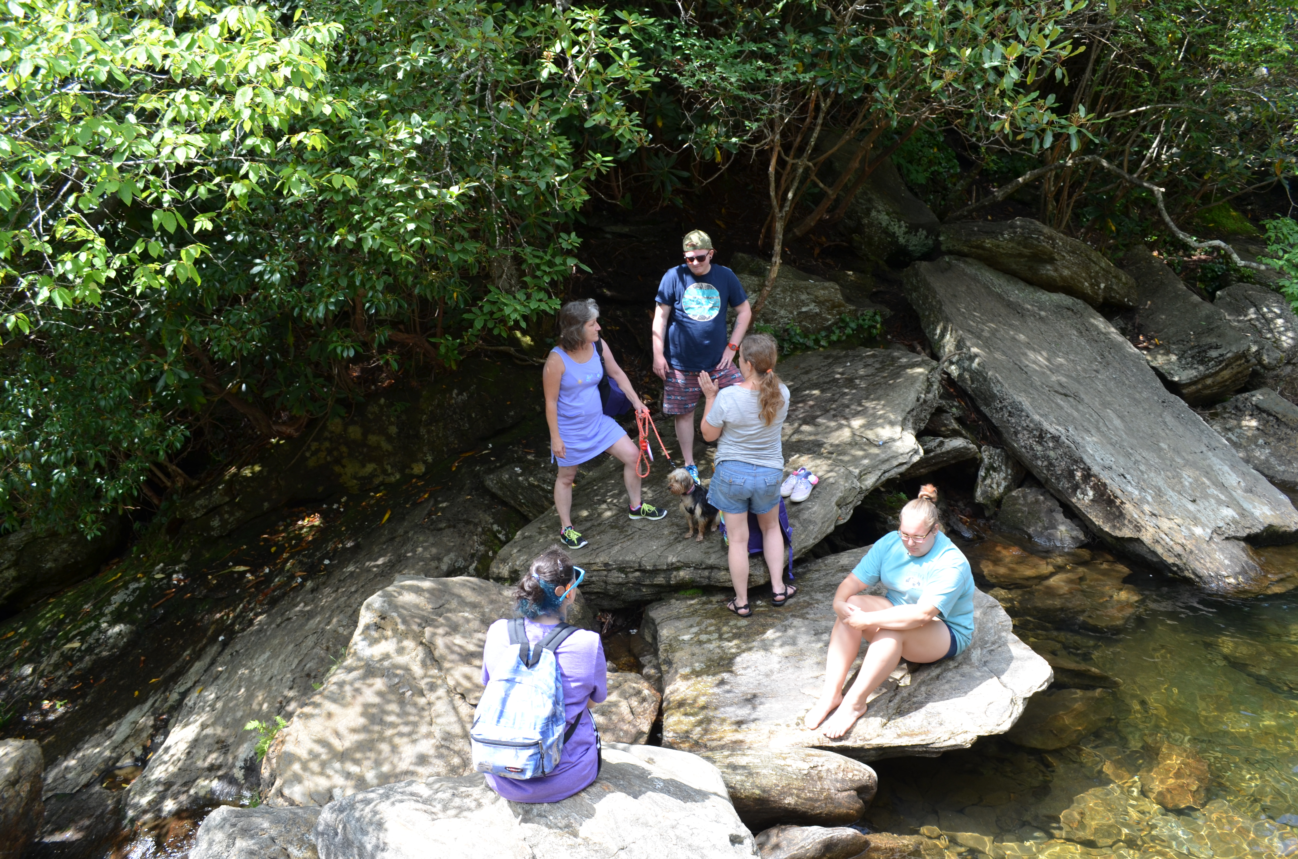 ./2016/14 - Asheville/02 - Second Falls/DSC_0791.JPG